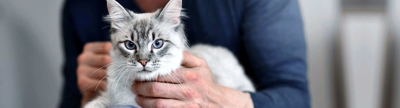 Jackson Animal Clinic Jackson Animal Clinic