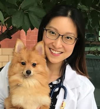 Dr. Yung Chan Dr. Yung Chan