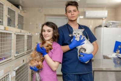 Routine Vet Exams: Why Regular Veterinary Checkups Are Important Routine Vet Exams: Why Regular Veterinary Checkups Are Important