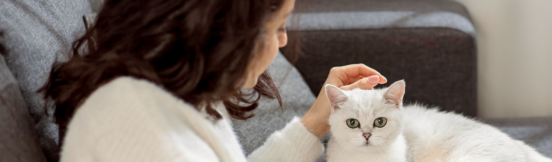 White House Animal Hospital White House Animal Hospital