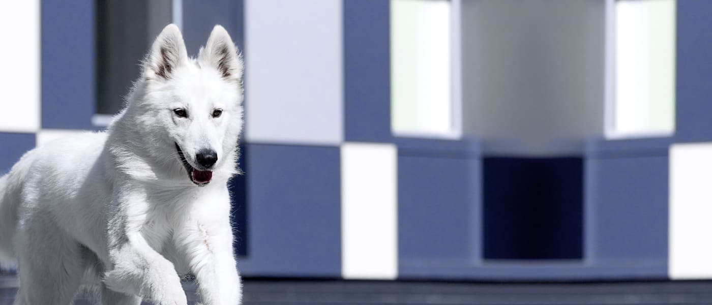 Suzanne C. Suzanne C.