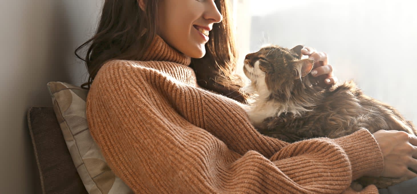 Setauket Animal Hospital Hero Image Setauket Animal Hospital Hero Image