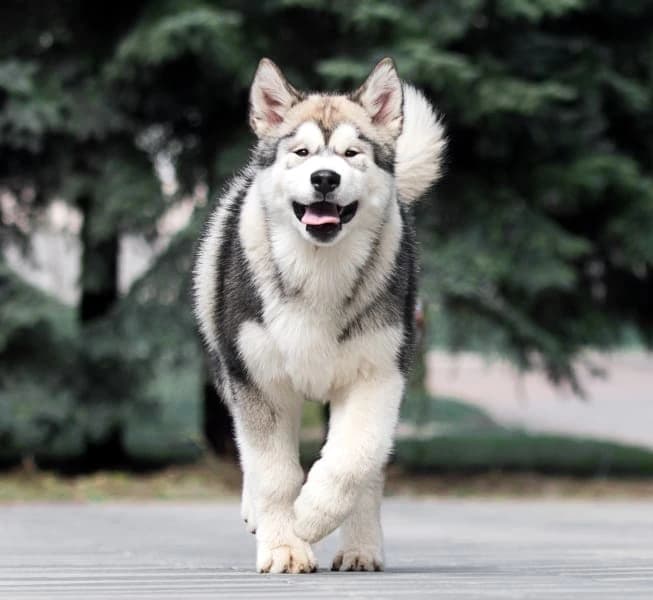 Shannon W. Shannon W.