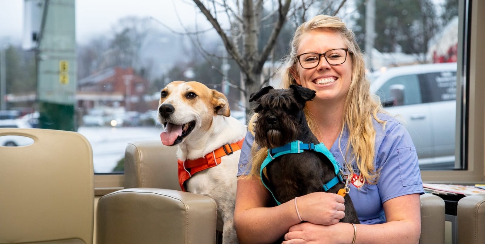 Asheville Vet & Animal Hospital Hero Image Asheville Vet & Animal Hospital Hero Image